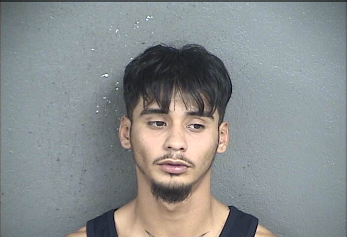 Mugshot of DYLAN ISSAC PEDROZA-SALDIVAR