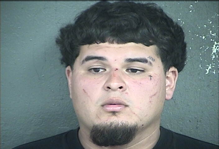 Mugshot of HECTOR DAVID REYES-CASTILLO