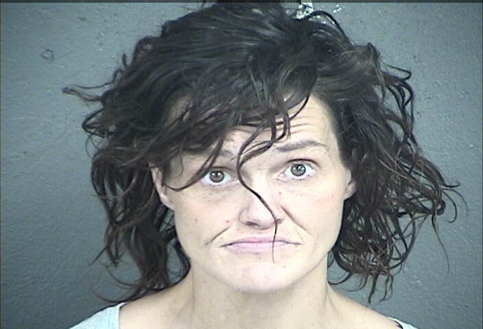 Mugshot of LORI CATHRYN SCHAEFER