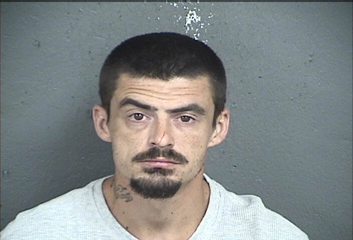Mugshot of SHAWN MICHAEL STRUTTON