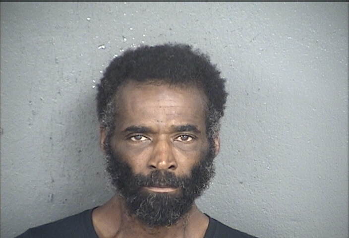 Mugshot of RAYMOND JAMES JR ELKINS