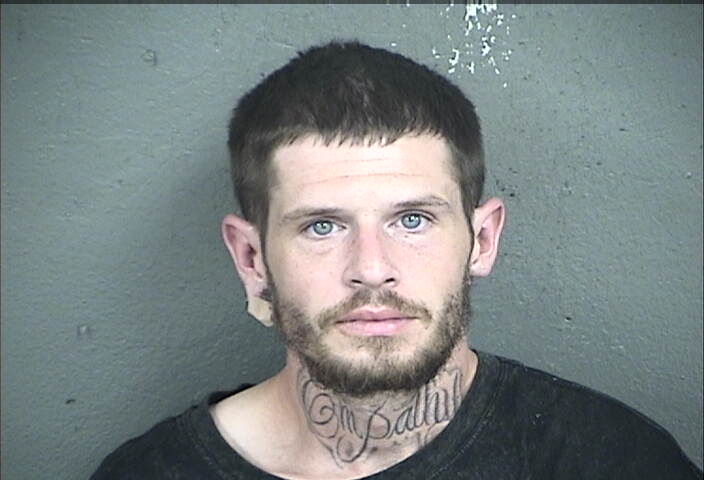 Mugshot of DEVIN MICHAEL MCDOWELL
