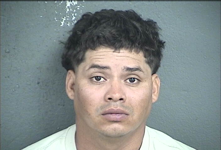 Mugshot of DIEGO MARESIO HERNANDEZ-TORREZ
