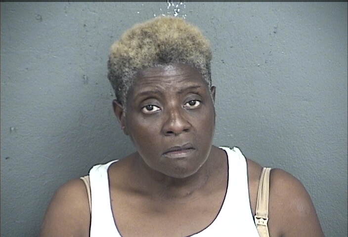 Mugshot of MELISSA VIVA TOLEFREE