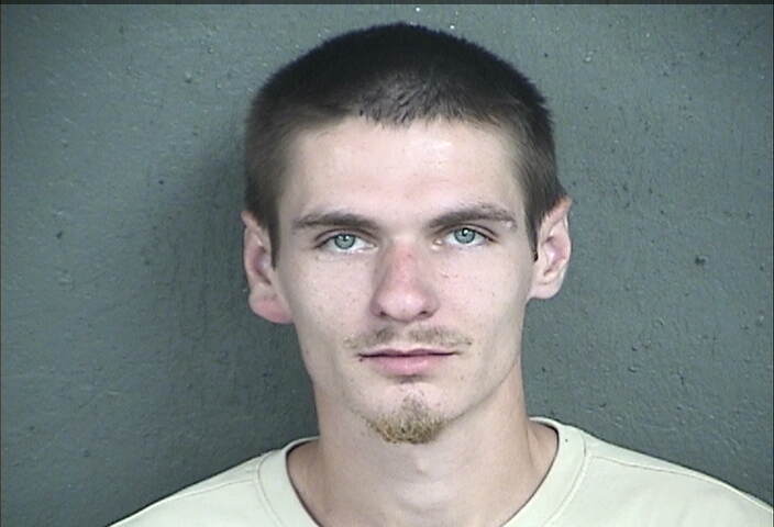 Mugshot of BRANDON ANTHONY WHISTLER