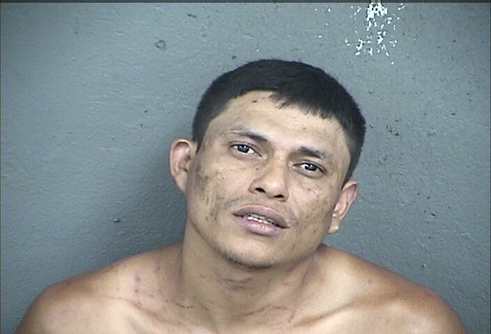 Mugshot of MARIO ANTONIO ULLOA-CHAVEZ