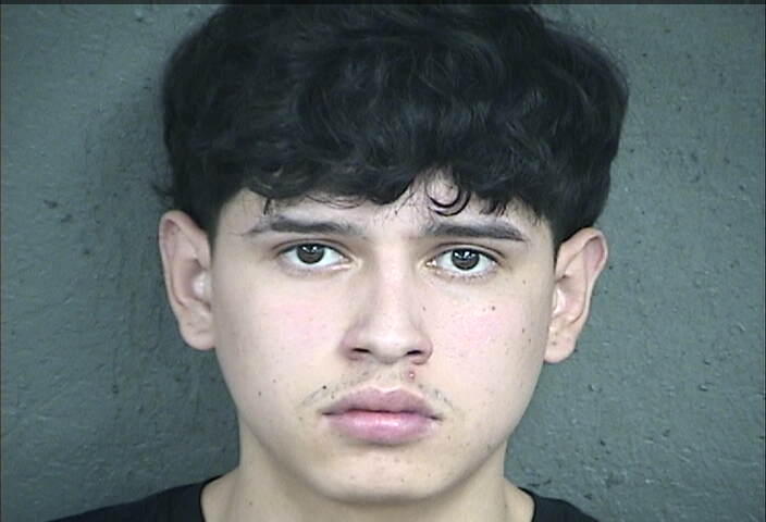 Mugshot of KAYLN ORTEGA