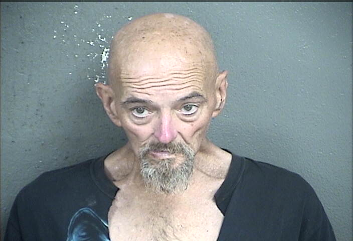 Mugshot of LOWELL DEAN BRINK