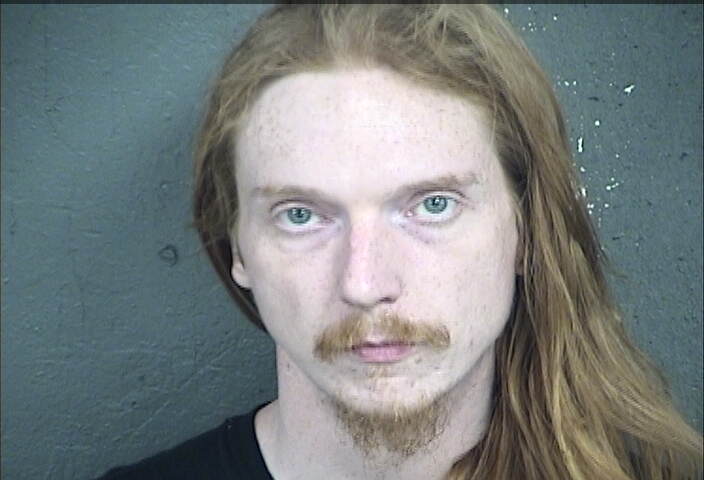 Mugshot of JESSE DEAN SKINNER