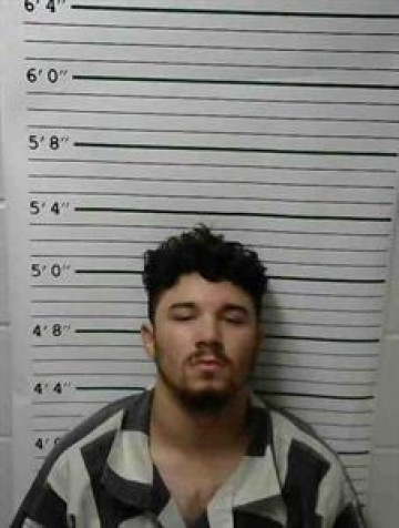 Mugshot of DOMINIQUE EAVES