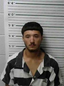 Mugshot of LEELAND WARE