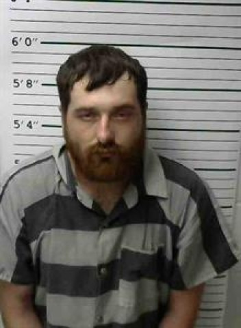 Mugshot of REGGIE FEE