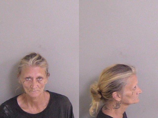 Mugshot of Susan Pierre