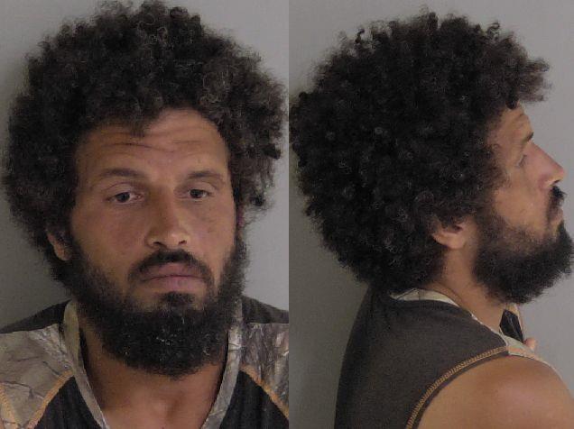 Mugshot of Whitney Terrell Irvin