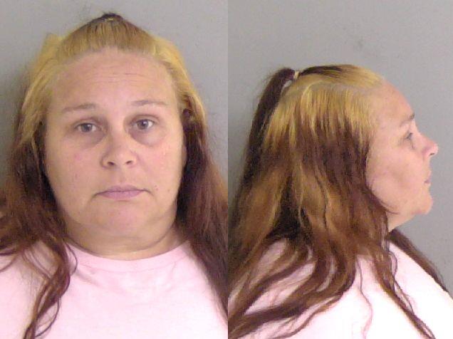 Mugshot of Danielle Marie Anweiler