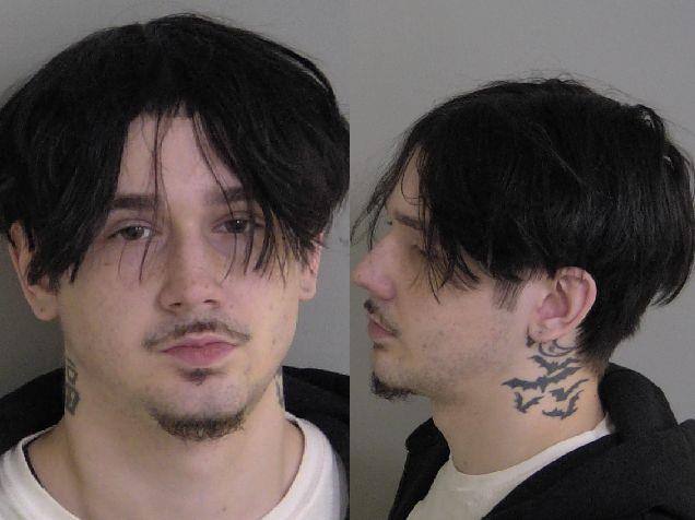 Mugshot of Kole Turner