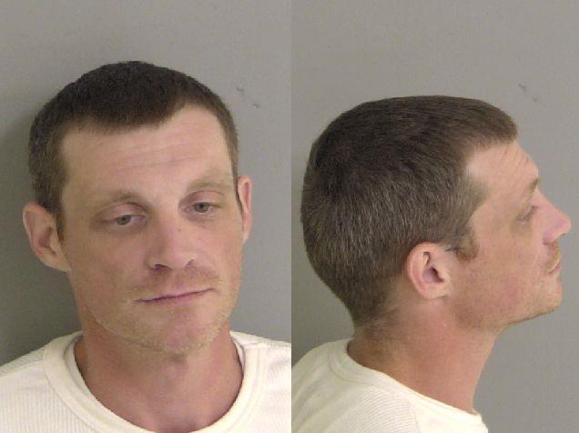 Mugshot of ANDRE PIERRE WILSON