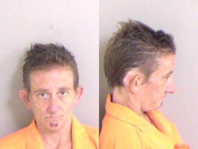 Mugshot of Amy K Windham-Twidwell