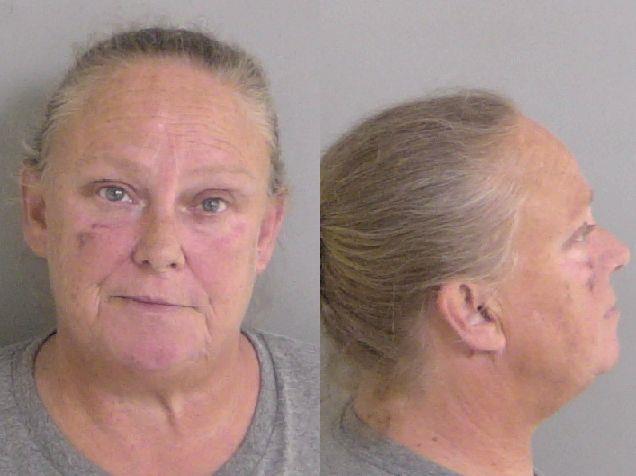 Mugshot of Lisa Roques Ryan