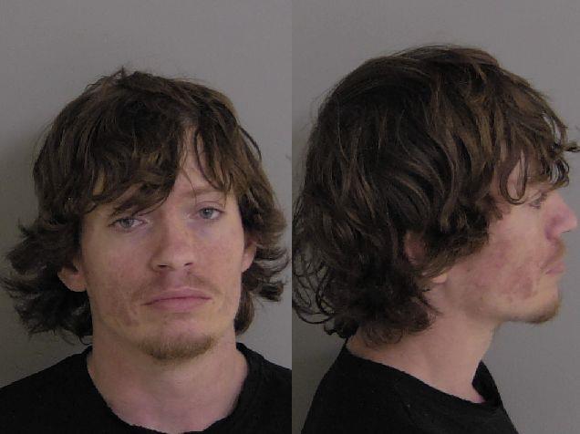 Mugshot of Brice M Pena