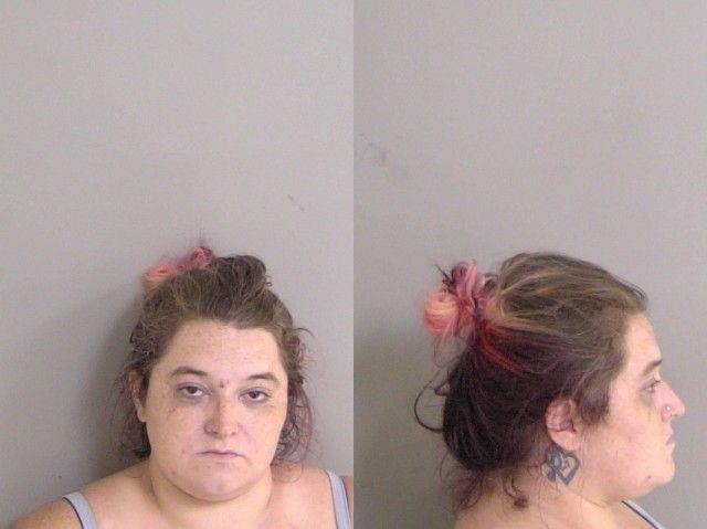 Mugshot of Ashley Hanner