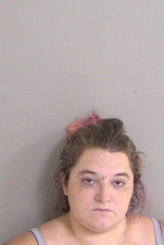 Mugshot of Ashley Hanner