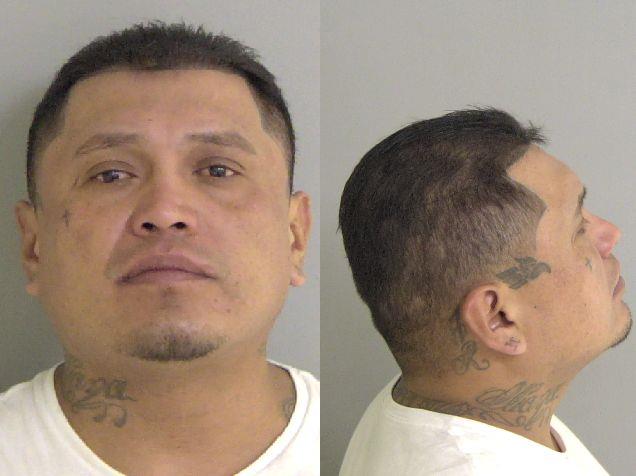Mugshot of Gustavo Adolfo Castellon