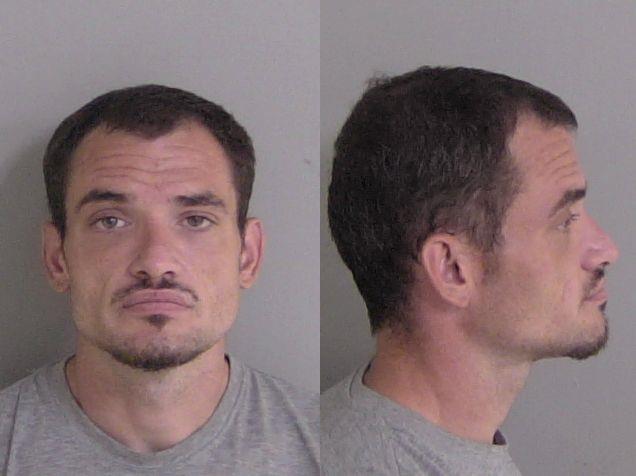 Mugshot of Viltris B Gibbs