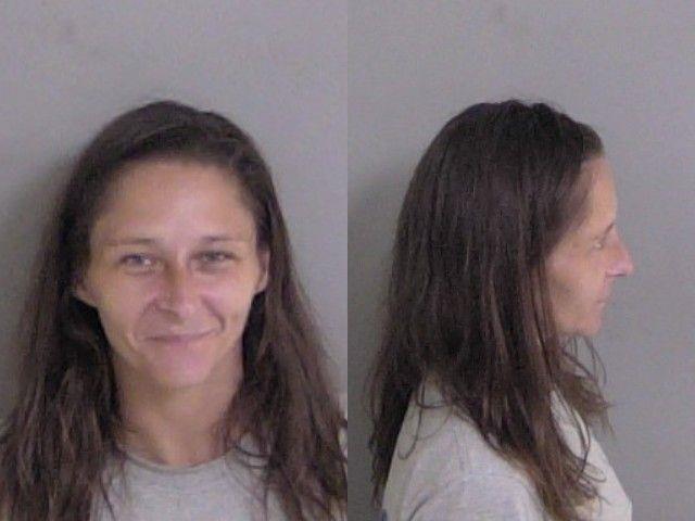 Mugshot of Andrea Dalin Blaney