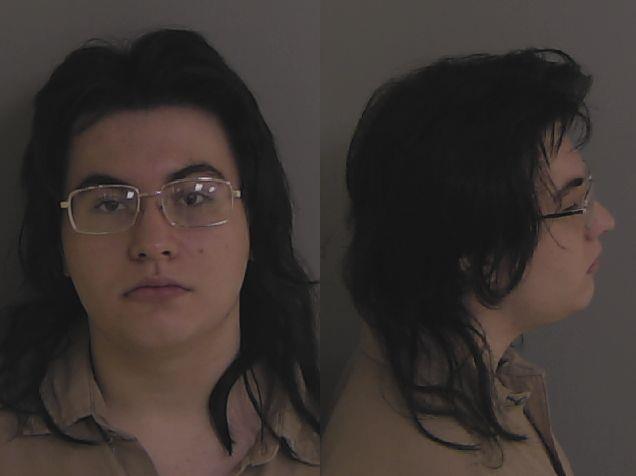 Mugshot of Jordan Bourque