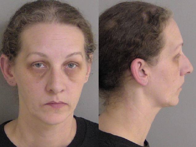 Mugshot of Nikki Rae Wells