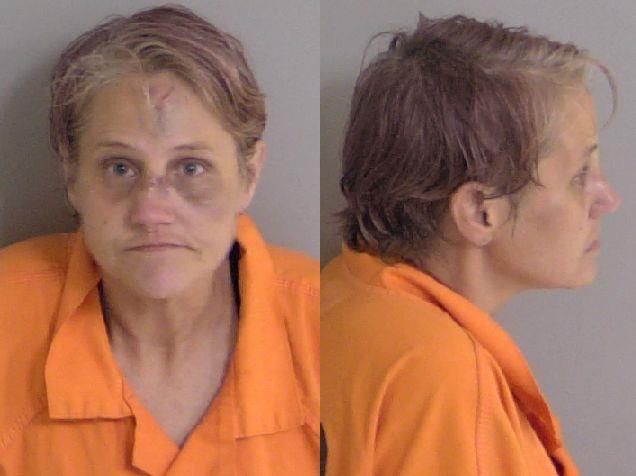 Mugshot of Alison Brooke Wheeler