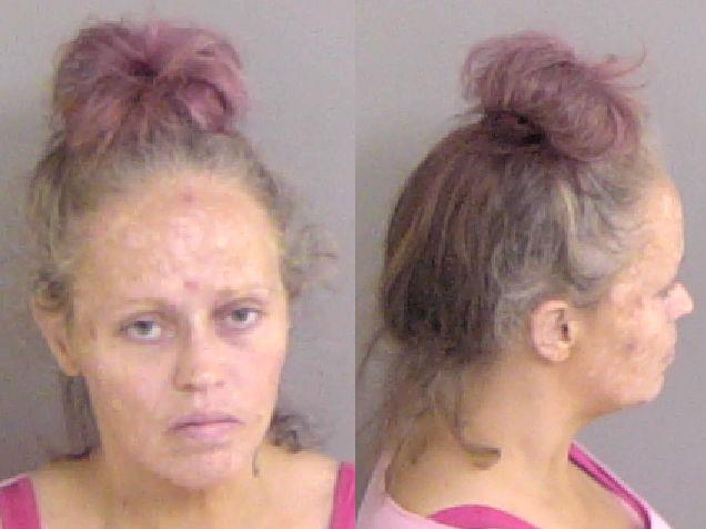 Mugshot of Jana Rene Rossi