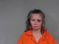 Mugshot of SHELLIE REGINA NEWMAN
