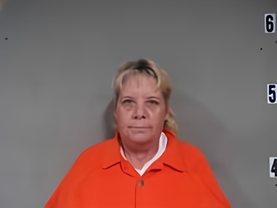 Mugshot of ALISSON J DAVIS