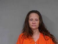 Mugshot of LONNIE NICOLE SIMMONS
