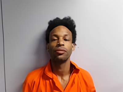 Mugshot of CHRISTIAN RAYNELL CARRIER