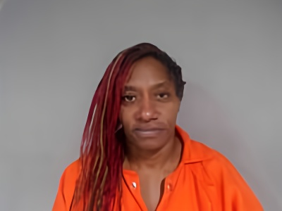 Mugshot of SONYA ELAINE HICKMAN