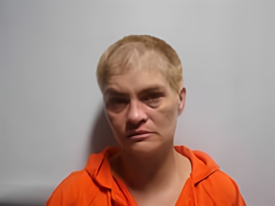 Mugshot of KIMBERLY IRENE BRISTER