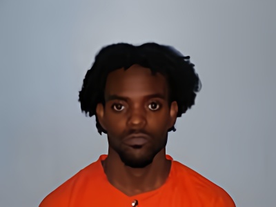 Mugshot of LEON MICHAEL SHAWN FREEMAN