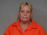 Mugshot of ALISSON JANET DAVIS