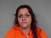 Mugshot of JULIA ANN CONN