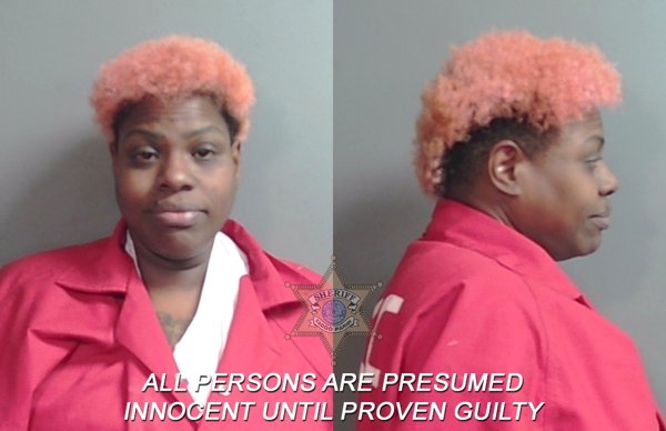 Mugshot of Zawn Johneen Ivory