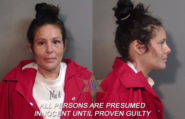 Mugshot of Mallorie Marie Prescott