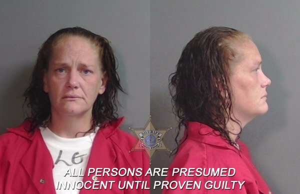 Mugshot of Hollie Jean Scroggins
