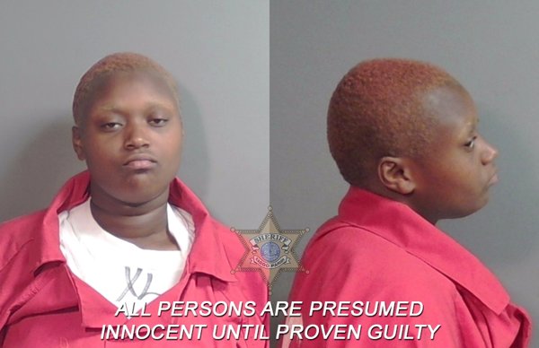 Mugshot of Hope Janelle Wallace