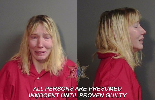 Mugshot of Jessica Nicole Wilcox