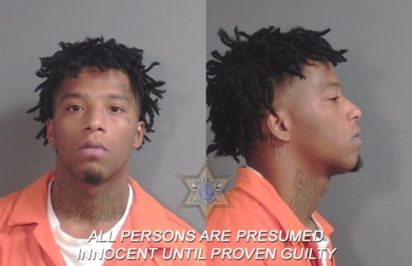 Mugshot of Tralyn Levalle Clark