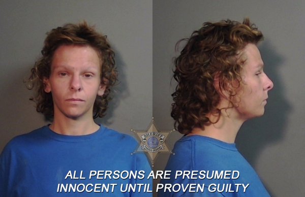 Mugshot of Ashley Opal Donaldson