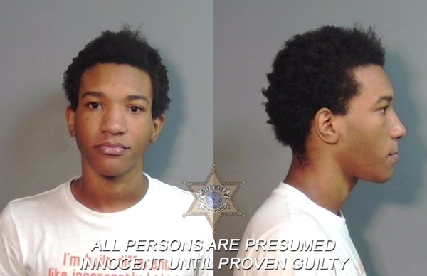 Mugshot of Ledeerion Tremaine Dillard